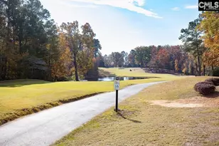 105 Linkside Ct, Chapin, SC 29036 - Photo 5