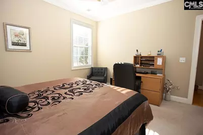 105 Linkside Court, Chapin, SC 29036 - Photo 25