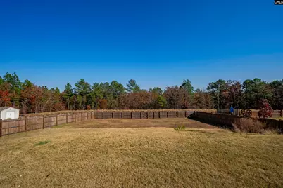 2015 Bliss Lane, Lexington, SC 29073 - Photo 47