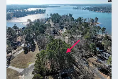 409 Dutchman Shores Circle, Chapin, SC 29036 - Photo 3