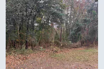 409 Palm Harbor Drive, Orangeburg, SC 29115 - Photo 7