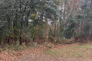 409 Palm Harbor Dr, Orangeburg, SC 29115 - Photo 7