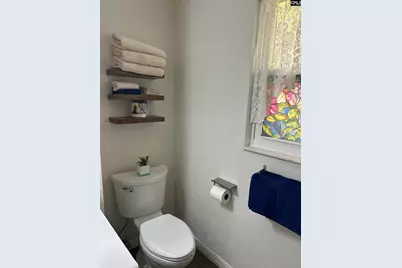 406 Brickling Road, Irmo, SC 29063 - Photo 39