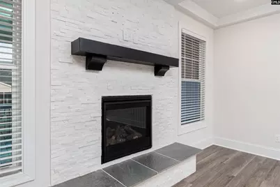 231 Red Ash Way, Blythewood, SC 29016 - Photo 9