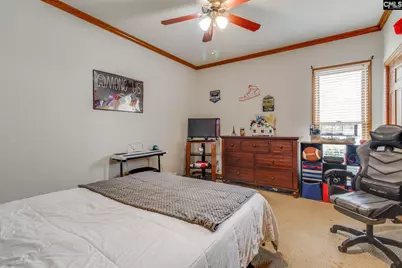 3 Foxfield Lane, Blythewood, SC 29016 - Photo 19