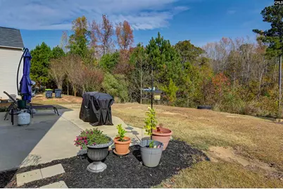 112 Feather Site Lane, Lexington, SC 29072 - Photo 37