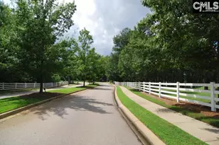 112 Feather Site Ln, Lexington, SC 29072 - Photo 49