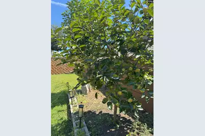 549 Everton Drive, Chapin, SC 29036 - Photo 25