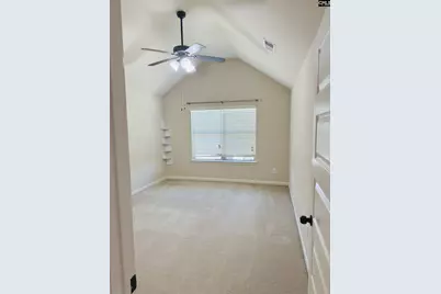 549 Everton Drive, Chapin, SC 29036 - Photo 13