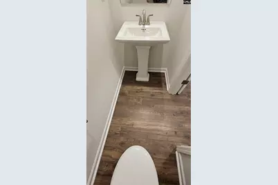 259 Sunny Hill Drive, Blythewood, SC 29016 - Photo 21