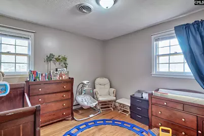 133 Pineview Drive, Swansea, SC 29160 - Photo 27