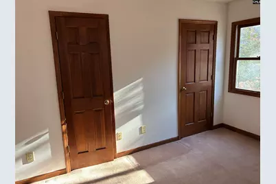 1511 Pet Sites Road, Chapin, SC 29036 - Photo 13