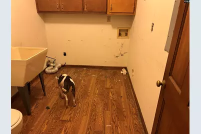 1511 Pet Sites Road, Chapin, SC 29036 - Photo 19