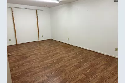 1511 Pet Sites Road, Chapin, SC 29036 - Photo 17