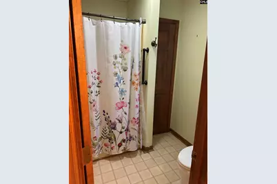 1511 Pet Sites Road, Chapin, SC 29036 - Photo 11