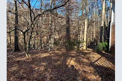 1511 Pet Sites Road, Chapin, SC 29036 - Photo 27