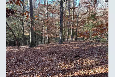 1511 Pet Sites Road, Chapin, SC 29036 - Photo 5