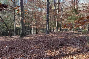 1511 Pet Sites Rd, Chapin, SC 29036 - Photo 5