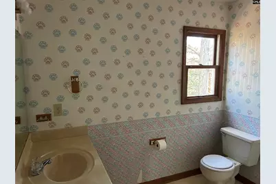 1511 Pet Sites Road, Chapin, SC 29036 - Photo 15