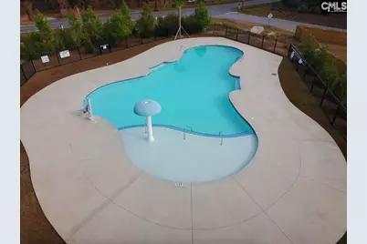 2130 Ludlow Place, Chapin, SC 29036 - Photo 69