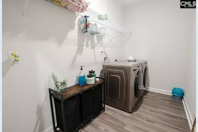 2130 Ludlow Place, Chapin, SC 29036 - Photo 59