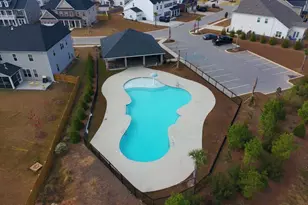 2130 Ludlow Pl, Chapin, SC 29036 - Photo 67