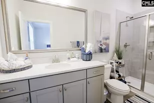 2130 Ludlow Pl, Chapin, SC 29036 - Photo 49