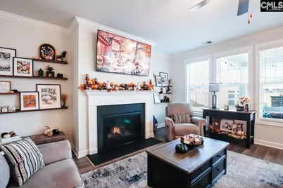 2130 Ludlow Place, Chapin, SC 29036 - Photo 27