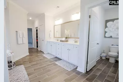 2130 Ludlow Place, Chapin, SC 29036 - Photo 45