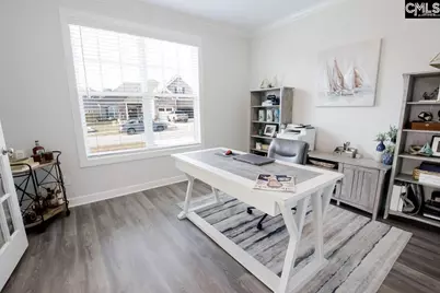 2130 Ludlow Place, Chapin, SC 29036 - Photo 19