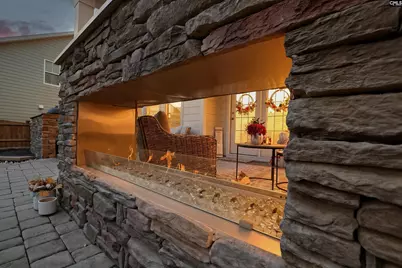 2130 Ludlow Place, Chapin, SC 29036 - Photo 7