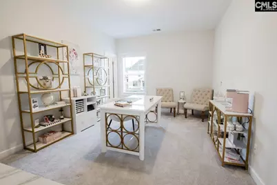2130 Ludlow Place, Chapin, SC 29036 - Photo 47