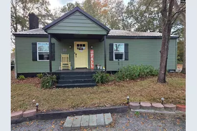 115 Charleston Avenue, Batesburg, SC 29006 - Photo 1
