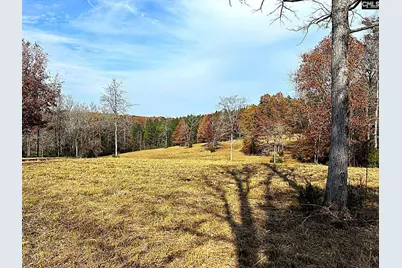 1230 Sc Highway 202, Little Mountain, SC 29075 - Photo 45
