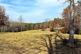 1230 Sc Hwy 202, Little Mountain, SC 29075 - Photo 45