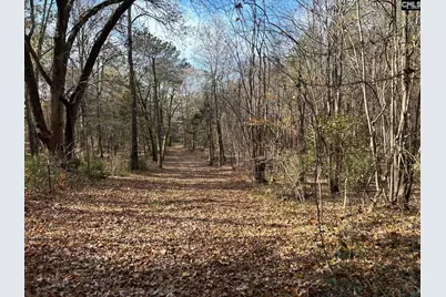 1230 Sc Highway 202, Little Mountain, SC 29075 - Photo 47