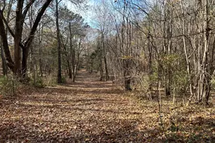 1230 Sc Hwy 202, Little Mountain, SC 29075 - Photo 47