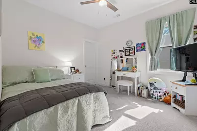 718 Cold Springs Lane, Irmo, SC 29063 - Photo 25