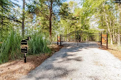 50 Steve Free Road, Chapin, SC 29036 - Photo 69