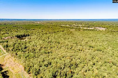 50 Steve Free Road, Chapin, SC 29036 - Photo 75