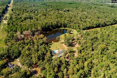 50 Steve Free Road, Chapin, SC 29036 - Photo 81