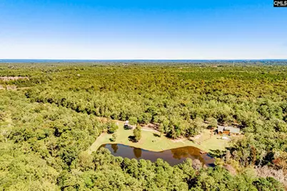 50 Steve Free Road, Chapin, SC 29036 - Photo 79