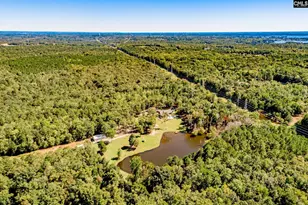 50 Steve Free Rd, Chapin, SC 29036 - Photo 71