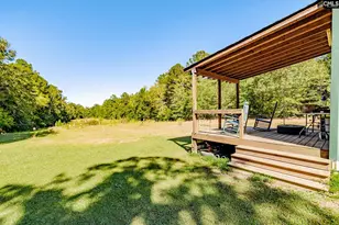 50 Steve Free Rd, Chapin, SC 29036 - Photo 51