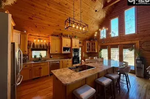 50 Steve Free Rd, Chapin, SC 29036 - Photo 15