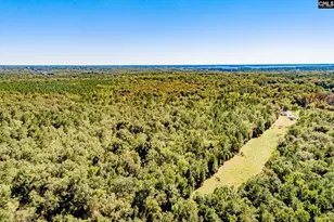 50 Steve Free Rd, Chapin, SC 29036 - Photo 77