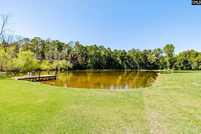 50 Steve Free Road, Chapin, SC 29036 - Photo 49