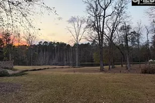 50 Steve Free Rd, Chapin, SC 29036 - Photo 47