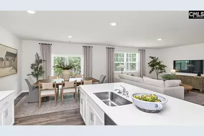 466 Leathertree Lane, Blythewood, SC 29016 - Photo 13