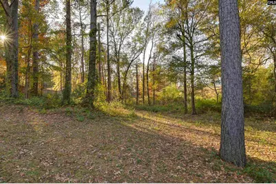 100 Woodspur Road, Irmo, SC 29063 - Photo 3